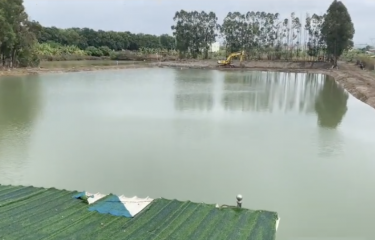 东莞狮子洋海钓场