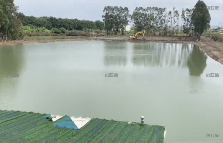 东莞狮子洋海钓场