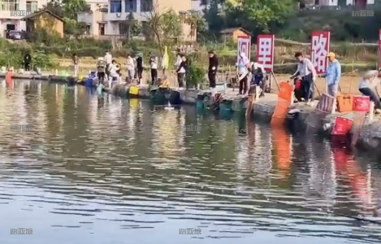 长沙阿里路亚基地