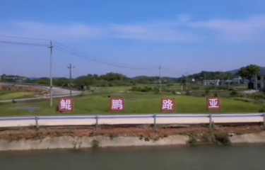 长沙鲲鹏路亚基地