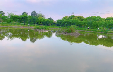 嘉兴浙北渔乐(振勋桐乡站)垂钓基地