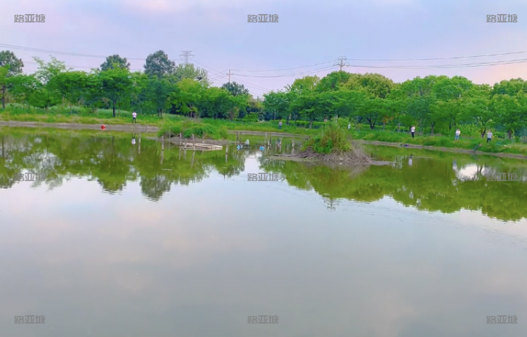 嘉兴浙北渔乐(振勋桐乡站)垂钓基地