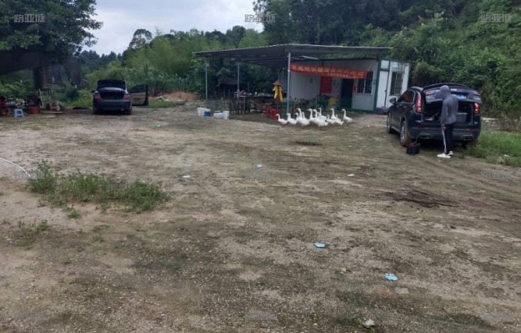 漳州长泰尽兴路亚乐园