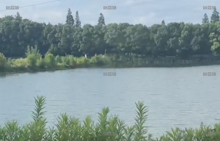 无锡桃源路亚基地