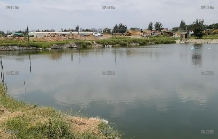 厦门星期八海钓基地