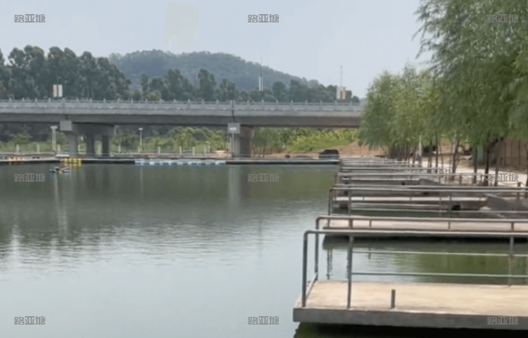 东莞王者路亚基地