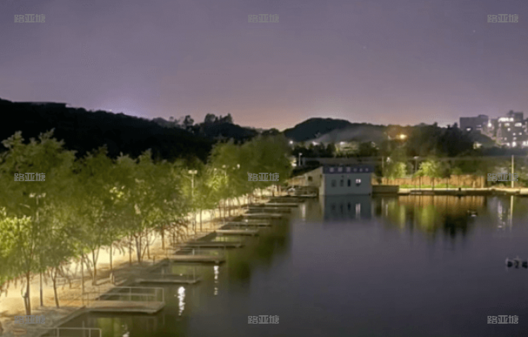 东莞王者路亚基地