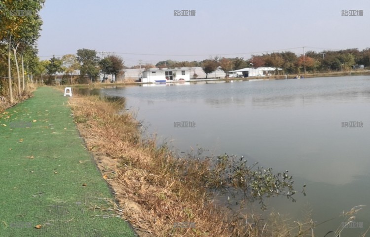 湖州天平路亚钓场