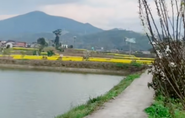 重庆塘朝庭院路亚基地