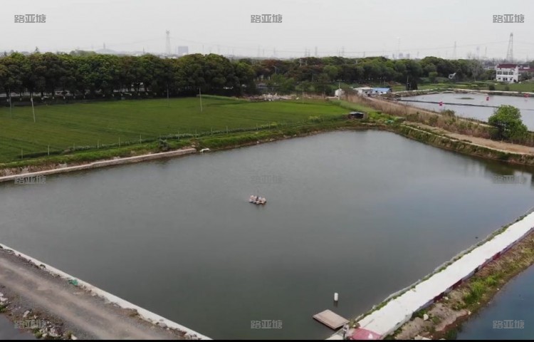 宜兴沙塘鳢路亚垂钓中心