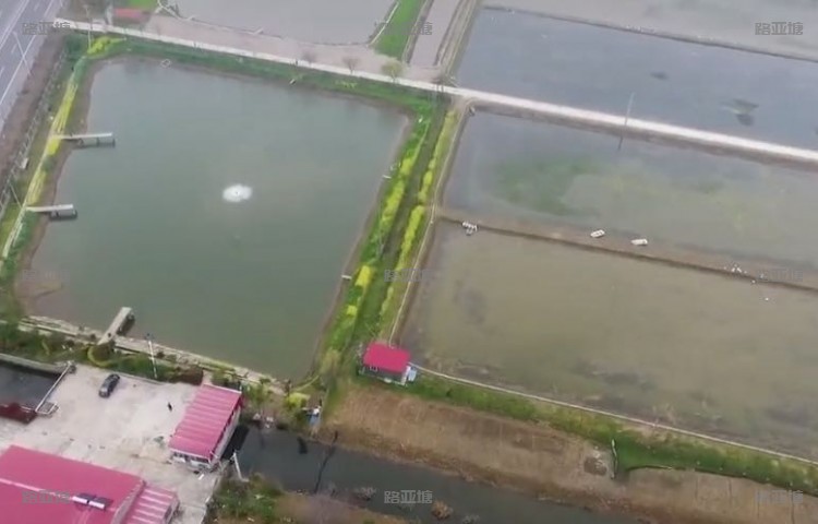 泰州AAA路亚基地