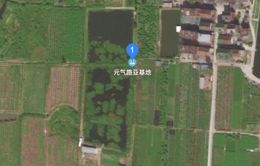 杭州元气路亚基地