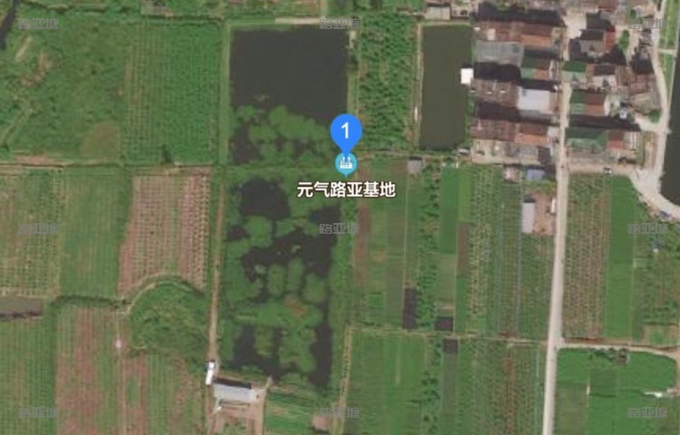 杭州元气路亚基地
