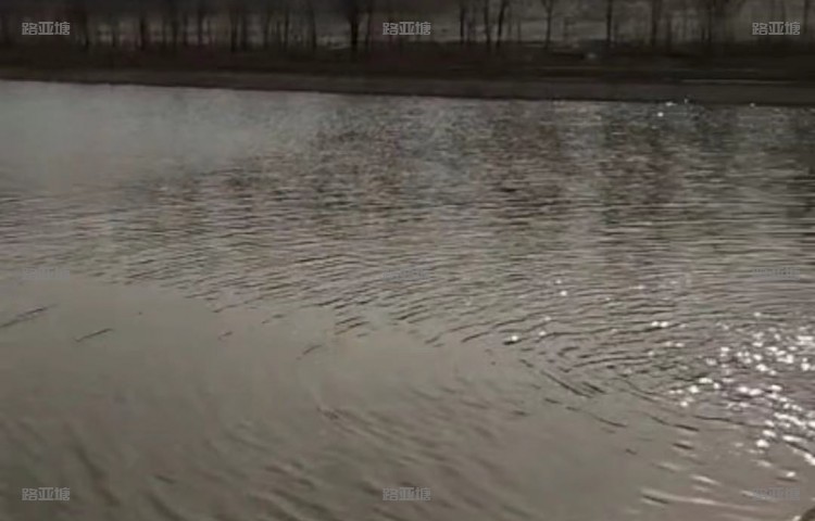 南京路亚方舟钓鱼基地