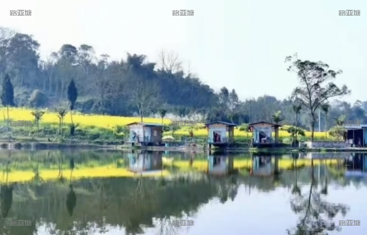 乐山井研三青台生态农业观光园