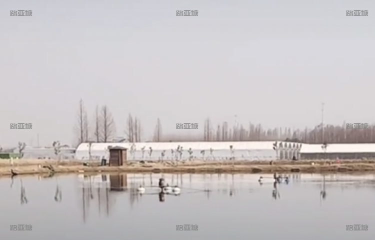 杭州市钓鱼协会垂钓基地