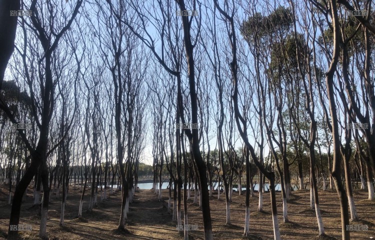 昆山南吉路亚基地