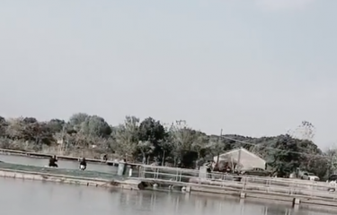 无锡前家浜路亚