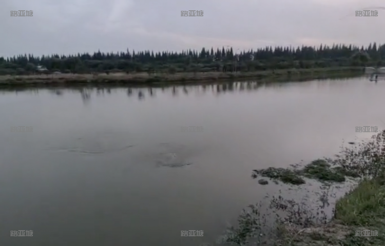 镇江楚风路亚垂钓基地