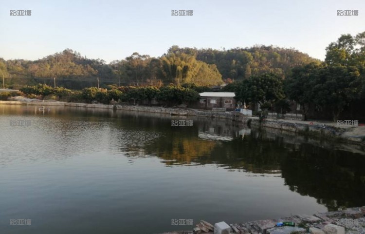 广州七星钓鱼休闲农场