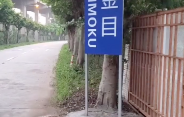广州金目钓场