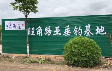 常熟旺角路亚
