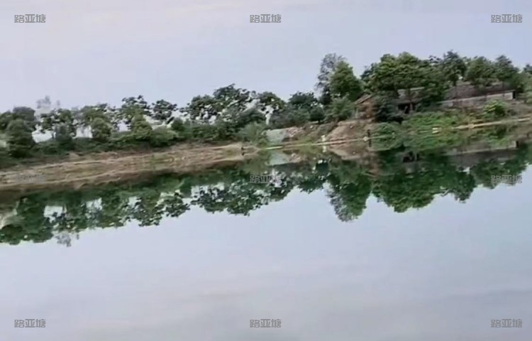 成都清风路亚俱乐部