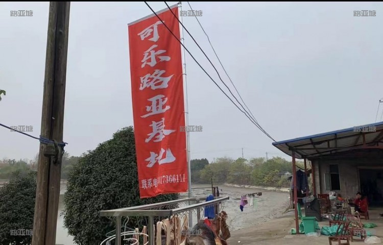 常德可乐路亚基地