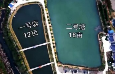 武汉魔都路亚基地