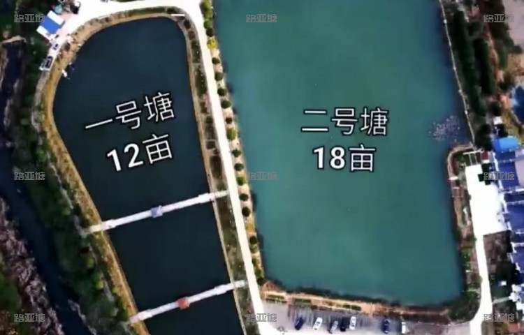 武汉魔都路亚基地