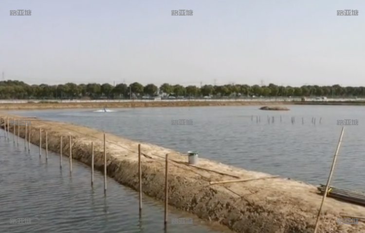 苏州光华路亚基地