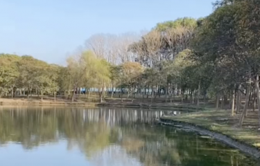 上海浦东友间鱼塘