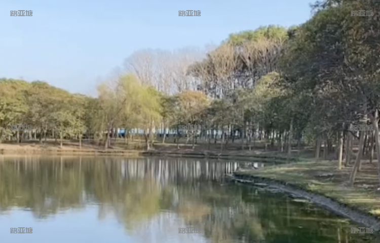 上海浦东友间鱼塘