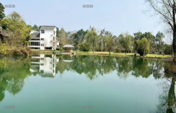 成都新浪路亚基地