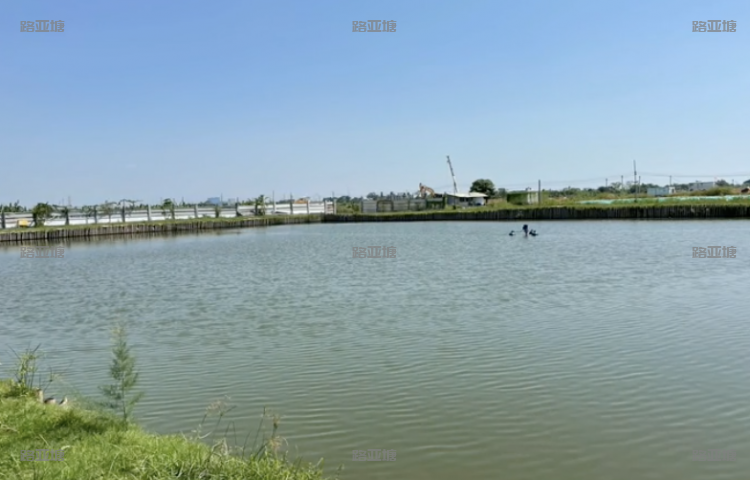 广州海记路亚综合场