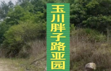 金华玉川胖子路亚园