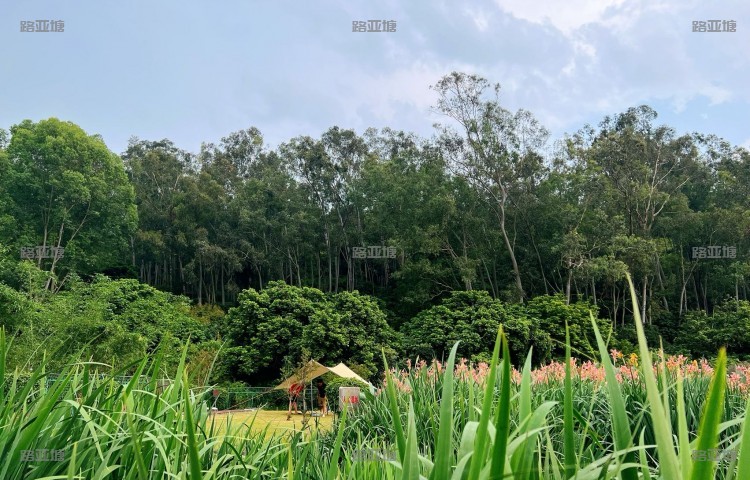 厦门乐其乐休闲苑