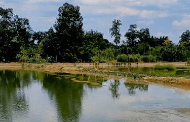 成都阳光路亚基地