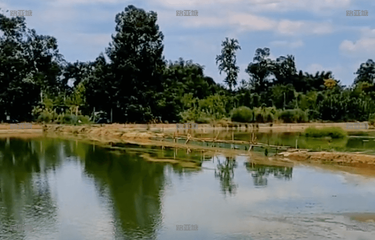 成都阳光路亚基地