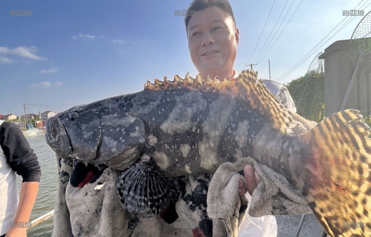 上海金蟹海泉海钓场