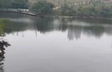 重庆大竹林路亚基地