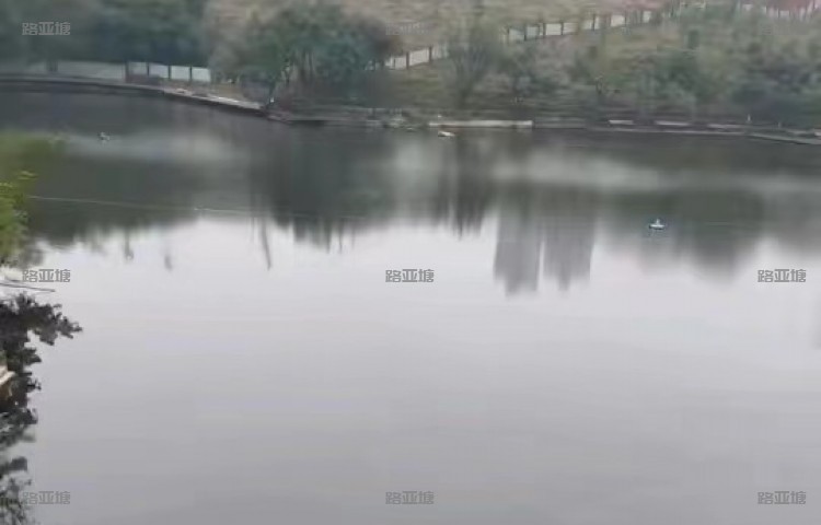 重庆大竹林路亚基地