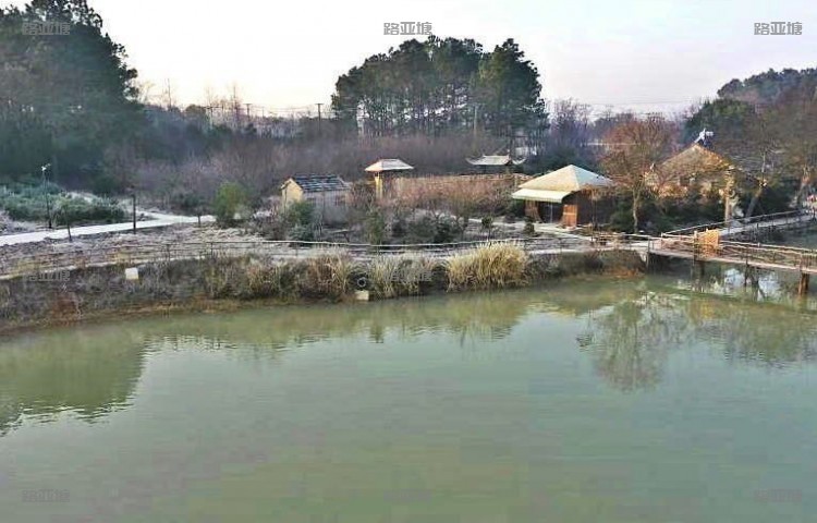 高淳大山路亚垂钓基地