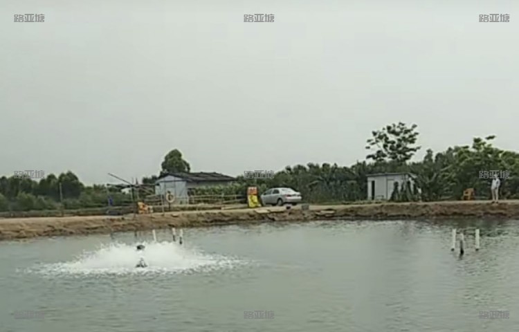 珠海钱多多垂钓园