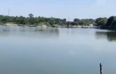 广州疯狂鱼乐圈钓鱼场