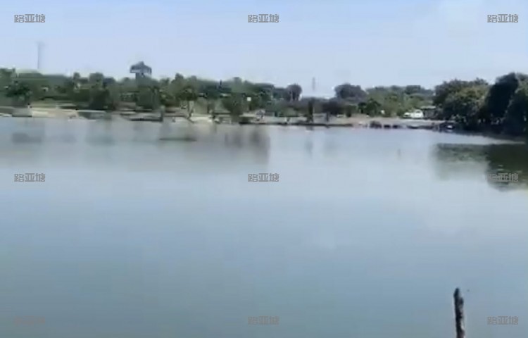 广州疯狂鱼乐圈钓鱼场