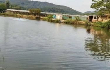 马鞍山海洋路亚钓场