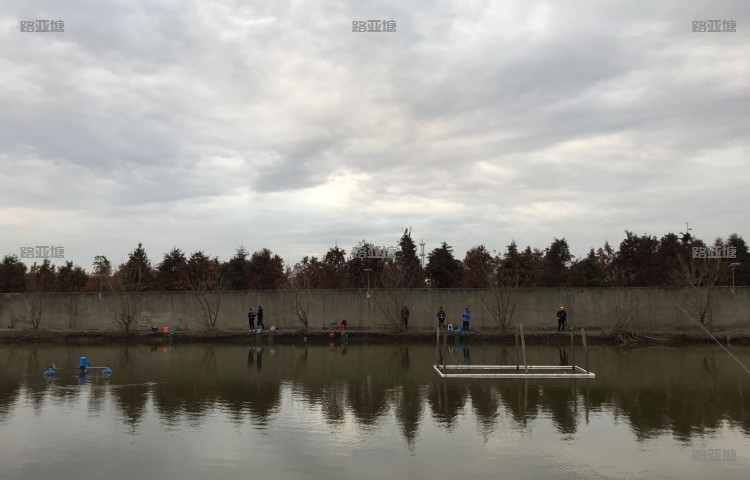 上海光明路亚