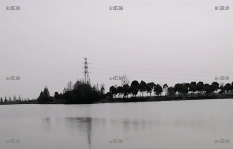 泰州鱤鱼路亚基地