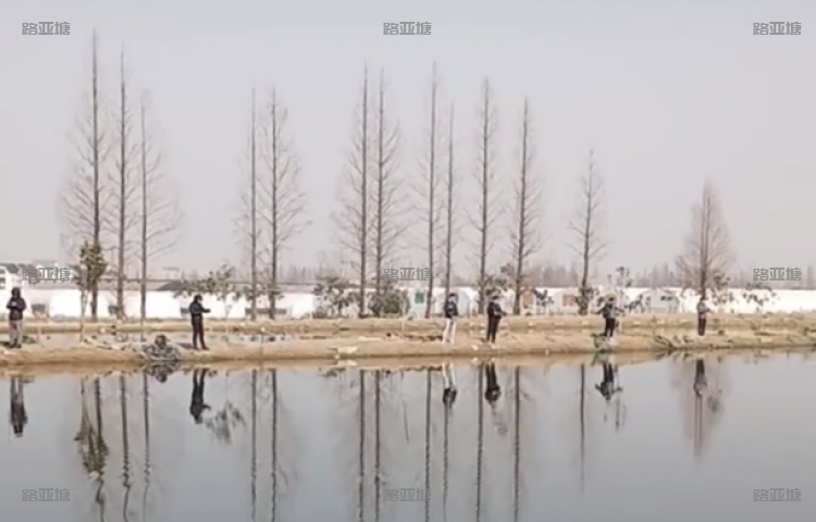 杭州市钓鱼协会垂钓基地